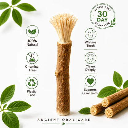 Brush Stick Miswak Sticks – Natural Toothbrush
