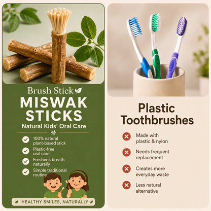 Brush Stick Miswak Sticks – Natural Toothbrush