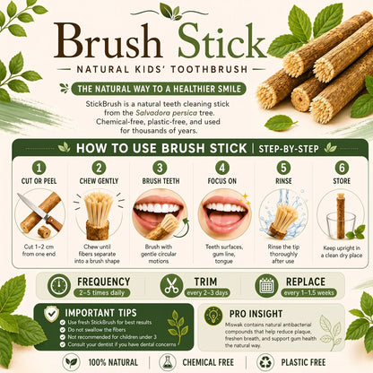 Brush Stick Miswak Sticks – Natural Toothbrush